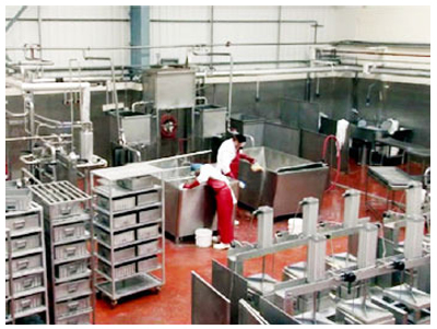 Paneer & Cheese Processing Systems
